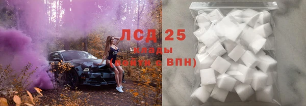 индика Абинск