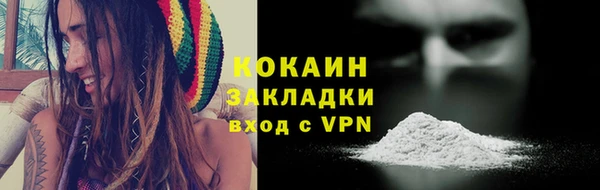 индика Абинск