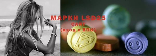 индика Абинск