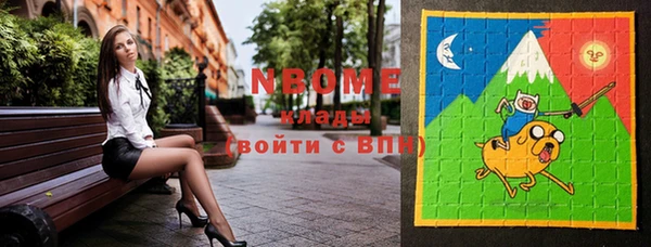 индика Абинск