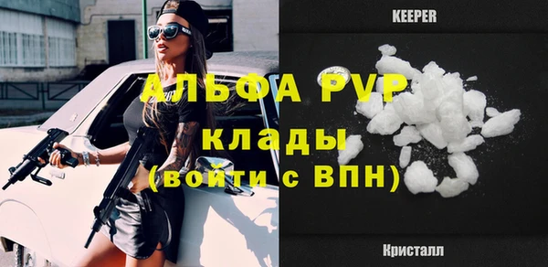индика Алексин