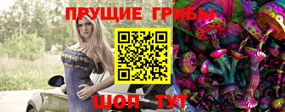 Пенза  Галлюциногенные грибы Psilocybe  Вход с VPN 