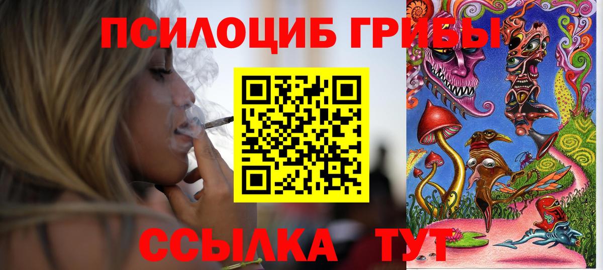 Псилоцибиновые грибы прущие грибы Пенза